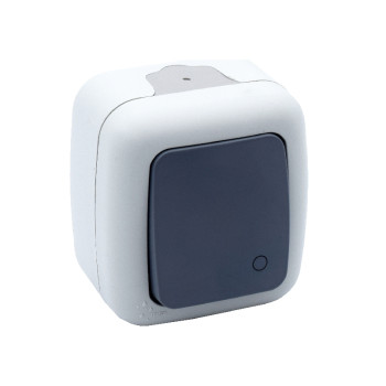 Intrerupator cu revenire, aparent, IP54, gama Elegant