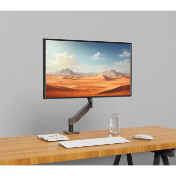Suport Monitor de Birou Reglabil cu Braț, pentru Monitor/TV, VESA 100x100