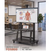 Suport TV mobil, Tabla Interactiva, 42-100 inch, VESA reglabila max 900x600, suporta maxim 150 Kg, Reglabil pe inaltime
