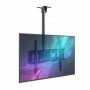 Suport TV de Tavan Reglabil, Diagonala 42-80 Inch, Telescopic 55-100 cm, Înclinare 90°, VESA Max 600x400, Sarcină 50 kg