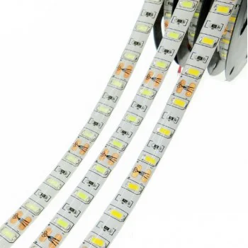 Banda LED exterior 12V, 5730, 60D/M, 6500K, IP65, rola-5m