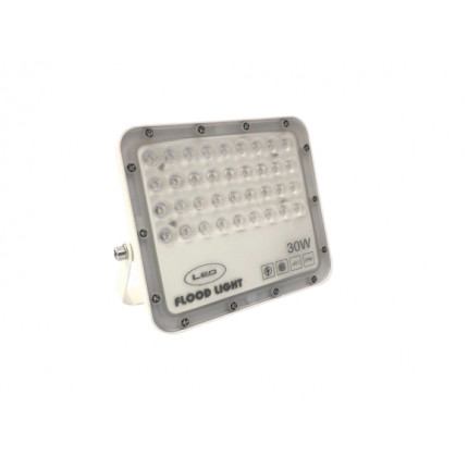 Proiector de exterior 30W, LED SMD, 6500K, IP66