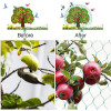 Plasa Protectie Plante Anti-Pasari 2M X 10M Ferme Animale Plasa Protectie Plante Anti-Pasari 2M X 10M Ferme Animale