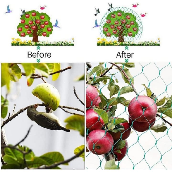 Plasa Protectie Plante Anti-Pasari 2M X 10M Ferme Animale Plasa Protectie Plante Anti-Pasari 2M X 10M Ferme Animale